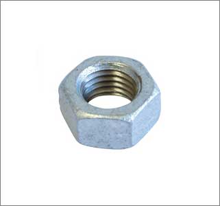 Hex Head Nut