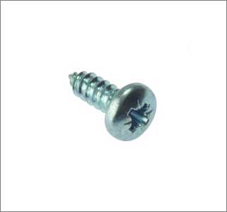 Pozzi Screw