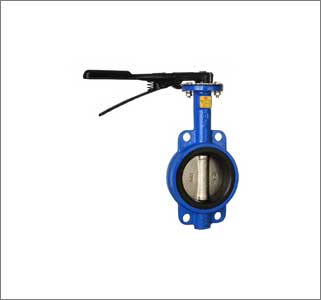 Butterfly Valve